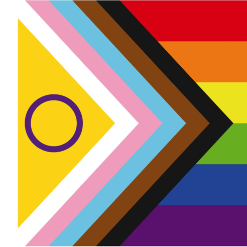 lgbti-flag-artwork-CMYK_zuschnitt_web-492x492.png